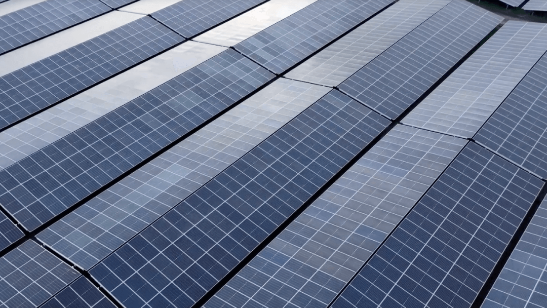 A large collection of PV Modules in a solar farm collecting renewable solar energy by JinkoSolar